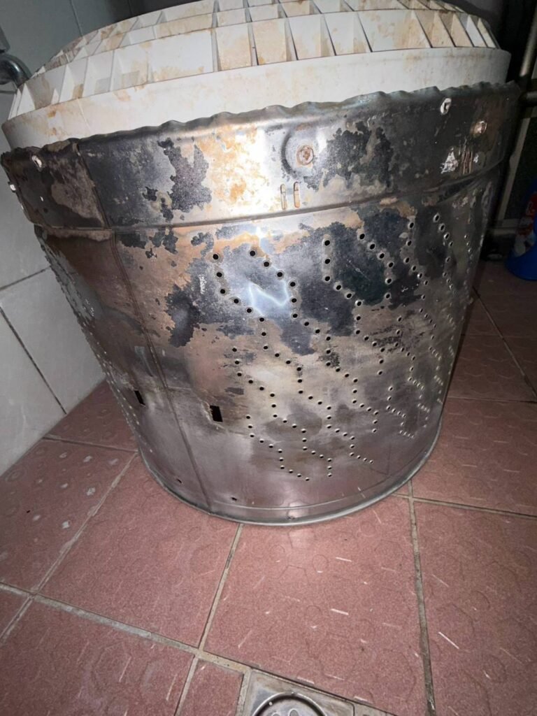 31
